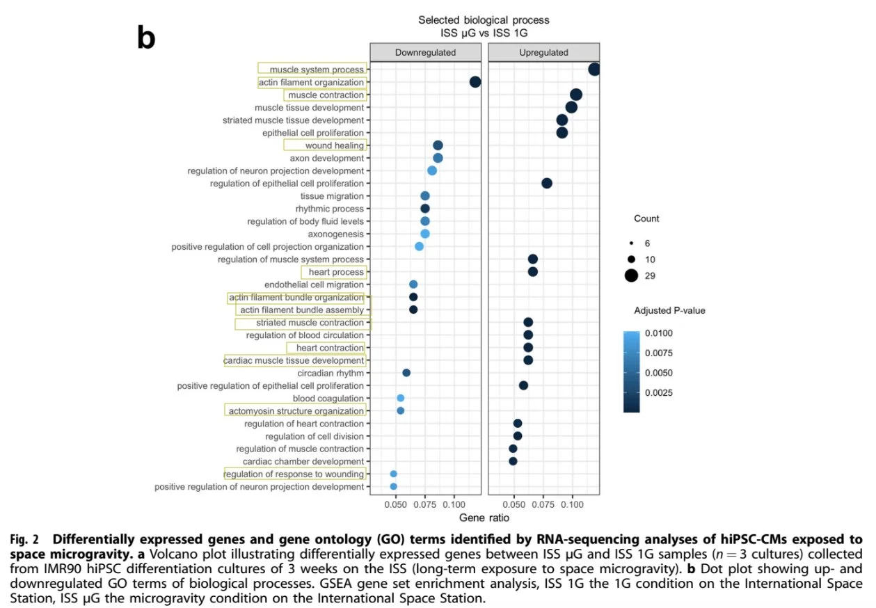 Multi-omics analysis